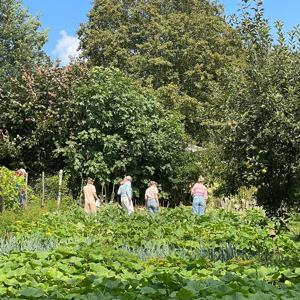 ‘Proef de moestuin’ workshop